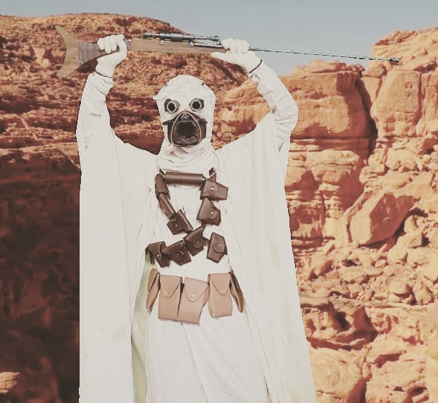 This is an image of Jax Cosplaying a Tusken Raider